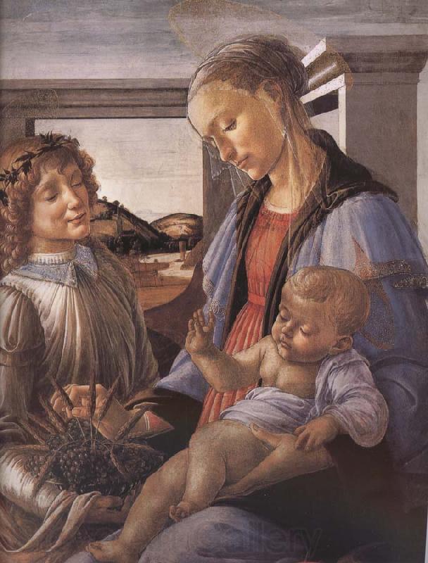 Sandro Botticelli Our Lady of the Son and the Angels Spain oil painting art